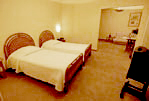 Hotel-Residence :: Geneva :: Junior Suite